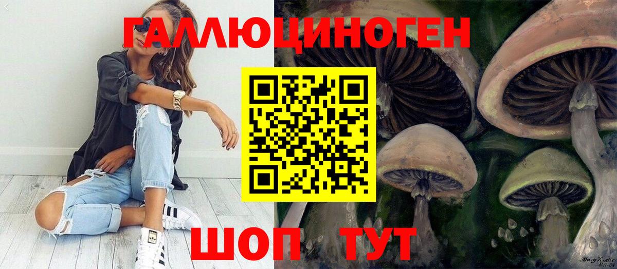 Рязань  Псилоцибиновые грибы Psilocybe  Вход с VPN 