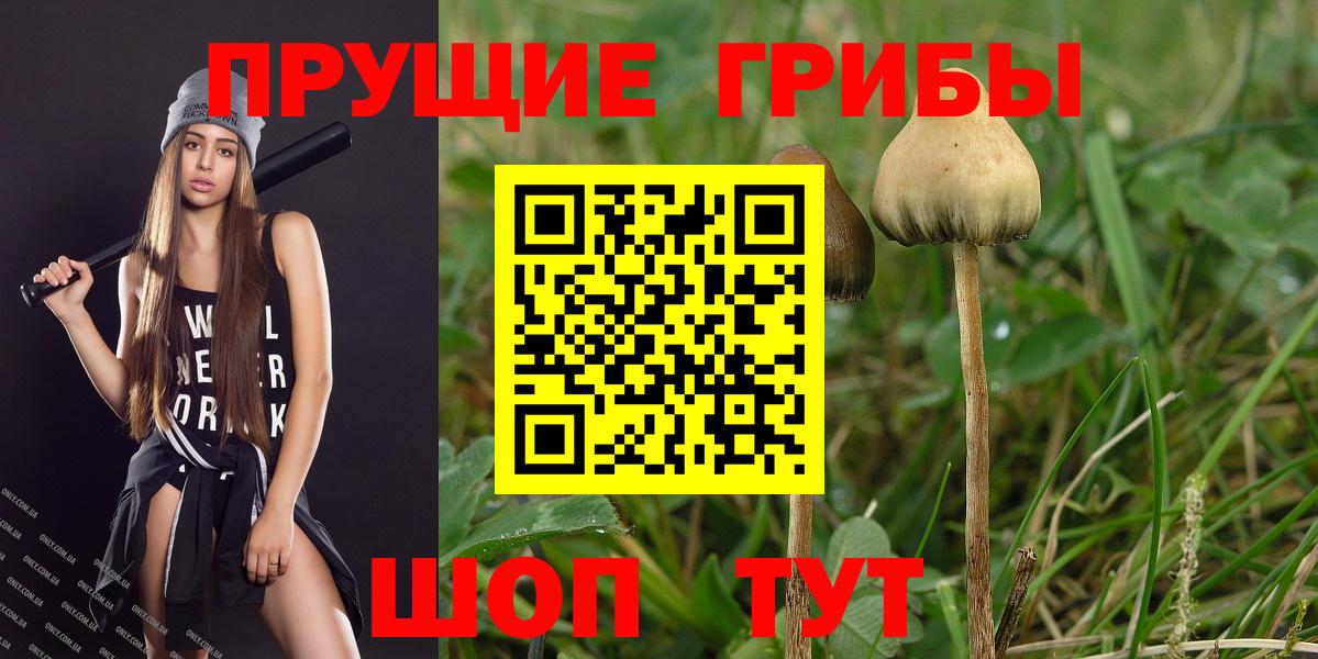 Галлюциногенные грибы мухоморы Рязань
